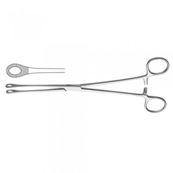 Bergmann Sponge Holding Forcep Straight Stainless Steel, 24 cm - 9 1/2"